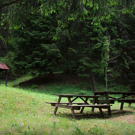 Tettuccio Montesole Aparthotel Ponte Di Legno Εξωτερικό φωτογραφία
